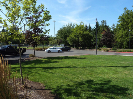 2) Gresham Main City Park location provides ample newly-built parking serving both Springwater and Main City Park